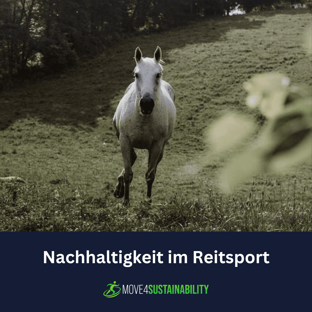  Nachhaltigkeit im Reitsport – Was ist der ökologische Hufabdruck? / Riders For Future